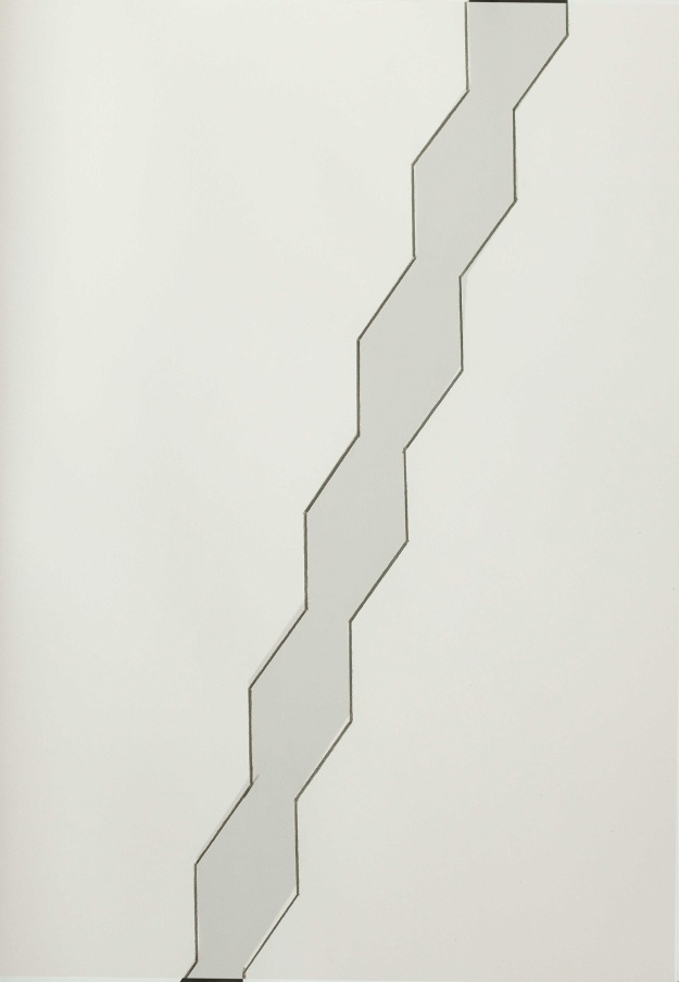 Shadow Column, twinned drawing and gouache on two sheets of acid free paper. 47 x 35 cm (18.5” x 13.75”) 2014